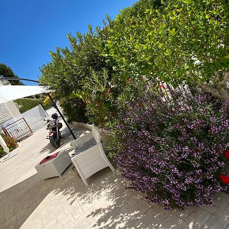 Lagarolina Del Conero B&B Sirolo Εξωτερικό φωτογραφία