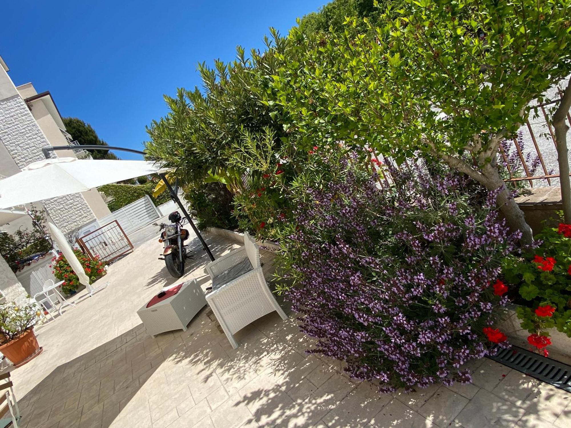 Lagarolina Del Conero B&B Sirolo Εξωτερικό φωτογραφία